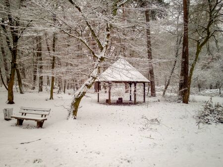 Cover Place at Crossroads resided in Forestの写真素材