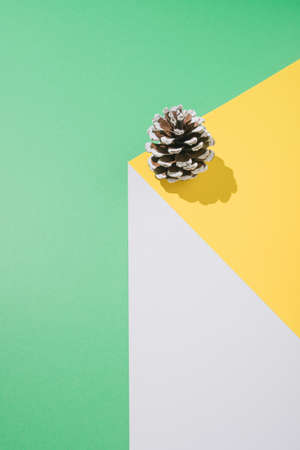 Vintage geometric concept with pine cone on white, yellow and mint green background. Creative gravity arrangement. Minimal Christmas or winter composition.の写真素材