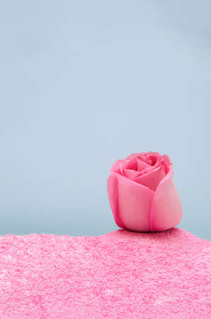 Minimal Valentine concept with pastel pink rose in sand. Trendy aesthetic.の写真素材