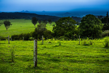 Mountains & Grassy Fields