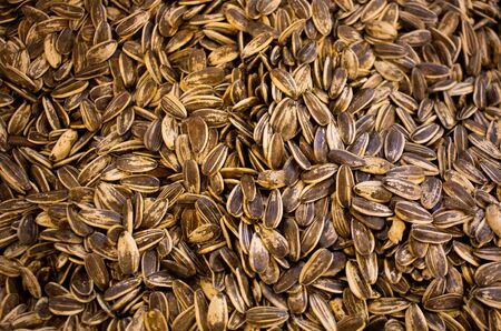 Edible nutrition Sunflower seeds and Sunflower grains background .