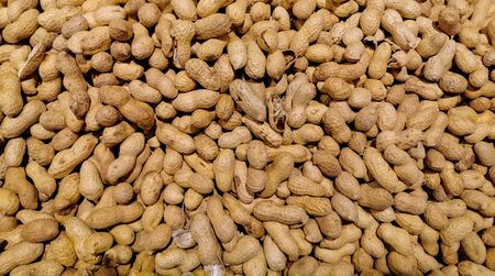 Background image of peanut in a shell texture, dried peanuts with shell,peanut butter and peanut beansの写真素材