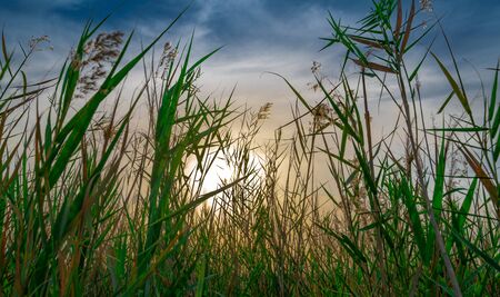 Beautiful nature image of lake near irkaya farm in Doha,Qatar,Qatar