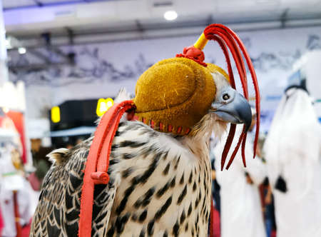 Background image of A falcon wearing its hood. falconry