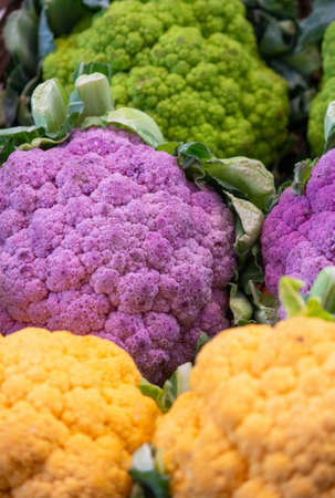 Background: three colors if cauliflowers kept in a shop for sale. vegetable backgroundの写真素材