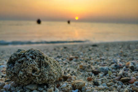 Background image of beautiful sunrise in French beach, Qatar with sea shells. Beautiful sunriseの写真素材