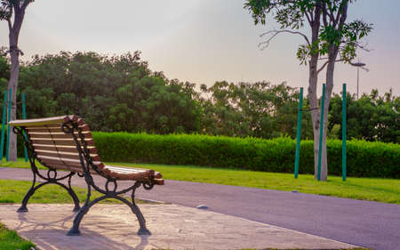 wooden bench at a park on a summer day in qatar.の写真素材