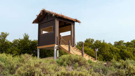 Bird watching hut in the Al khor thakira jungleの写真素材