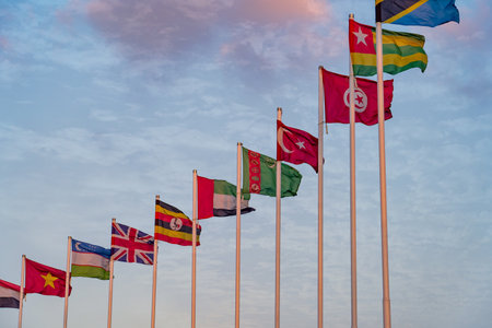 multiple country flags at qatar expo