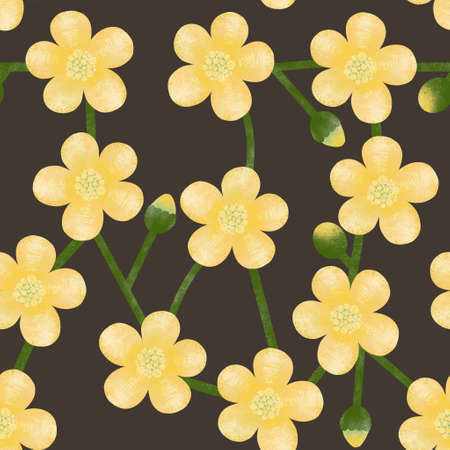 Seamless Repeat Pattern with Buttercup Flower on Black Background. Wild Yellow Buds on a Black Background Great for Wrapping , Decoration, Print on Fabric and Textile.の写真素材