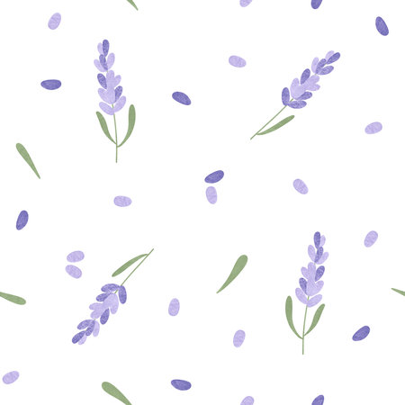 Lavender flowers seamless pattern. Herbal floral allover illustration. Hand drawn purple flowers on white background. Delicate floral allover print for packaging, scrapbookingの写真素材