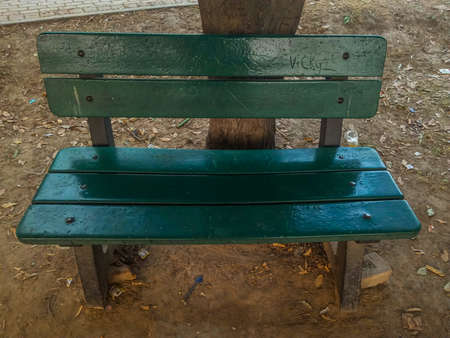 Green bench in the park. Outdoor nature background with wooden bench.