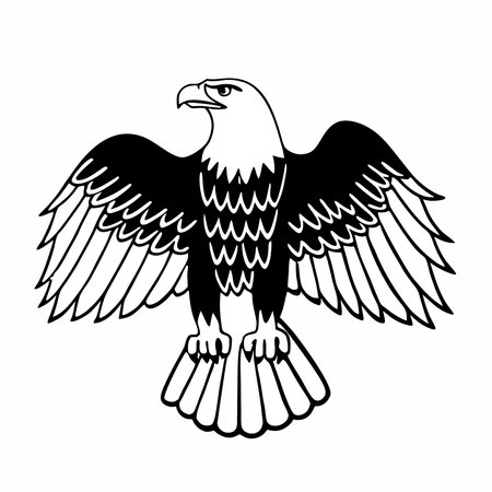 flying hunting bald eagle black silhouette illustration design.のイラスト素材