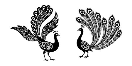 Peacock black and white vector illustration isolated on white background.のイラスト素材