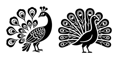 Peacock and peafowl. Set of black and white vector illustrations.のイラスト素材