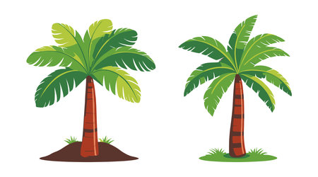 palm trees icon set over white background. colorful design. vector illustrationのイラスト素材