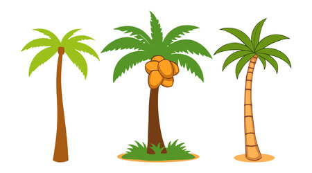 Coconut tree icon set. Vector illustration isolated on white background.のイラスト素材