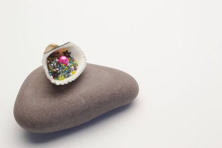 Natural shells multi-colored sewing decor beads with a holeの写真素材