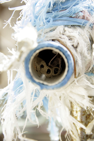 wasp nest in aluminum tubeの写真素材