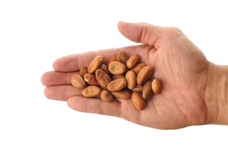Superior view of handful of cacao beans isolated on white background