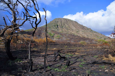 Koko Crater, Oahu, Hawaii with burned landscapeの写真素材