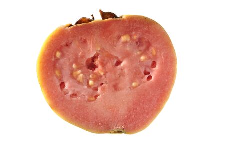 Sliced half pink flesh guava isolated on whiteの写真素材