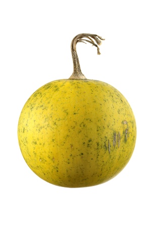 Ripe buffalo gourd isolated on white backgroundの写真素材