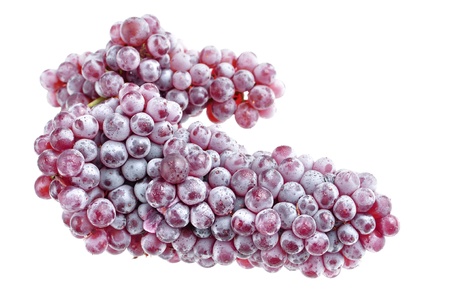 Bunch of purple champagne grapes isolated on whiteの写真素材
