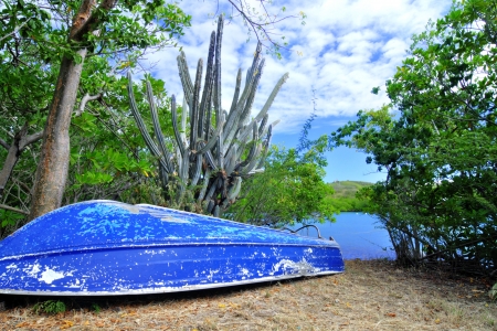 Small blue boat lies on grassy shore of tropical lagoon in Isla Culebra, Puerto Ricoの写真素材