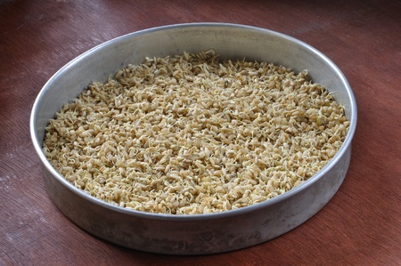 Aluminum tray with sprouted brown rice on wood surfaceの写真素材