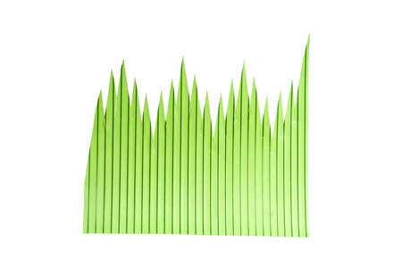 Macro closeup of green sushi grass garnishの写真素材