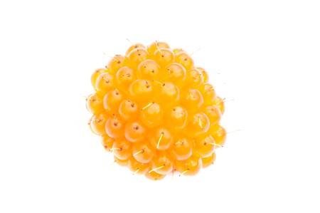 Macro closeup of fresh Rubus spectabilis yellow salmonberry isolted on white