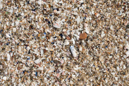 Closeup of beautiful variety and assortment of natural beach sand, shell, and gravel on beach in La...