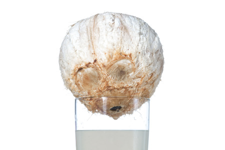 Closeup of fresh young white coconut sitting and drainin on top of glass full of coconut water on white backgroundの写真素材