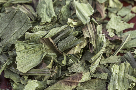 Macro closeup of dried plantain Plantago lanceolata medicinal herb crumbled in pileの写真素材