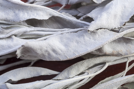 Macro closeup of dry white sage Salvia apiana medicinal herbal leavesの写真素材