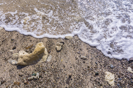 Closeup of wave washing over interesting beach mixture of sand, rock, and coralの写真素材
