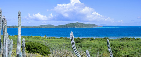 Panoramic of Caribbean islands of Culebrita and Saint Thomas visible in background amidst a foreground of thick vegetation and cactus on Isla Culebraの写真素材
