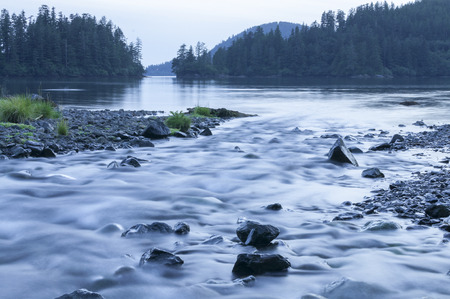 Beautiful southeast landscape at dusk featuring dreamy stream flowing into pine fringed Herring Cove on Baranof Island, Alaskaの写真素材