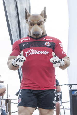 TIJUANA, MEXICO - JULY 26, 2014: The mascot for the Xoloitzcuintles soccer team in Tijuana makes a promotional appearance at the 6th annual beach festival in Playas de Tijuana, Mexico.のeditorial素材