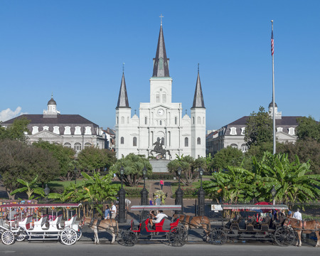 NEW ORLEANS, USA - OCTOBER 11, 2014: Horse-drawn carriages are lined up on street in front of Saint Louis Cathedral in New Orleans on a beautiful sunny Saturday morning ready for the influx of tourists to soon arrive.のeditorial素材