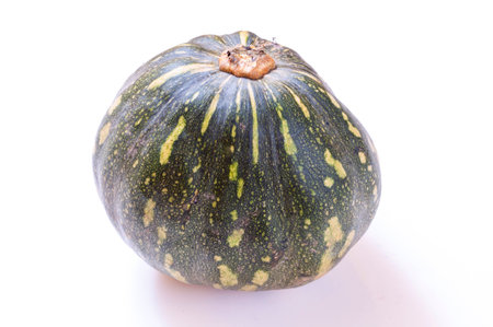 Ripe Cucurbita maxima kabocha squash on white backgroundの写真素材