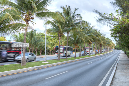 CANCUN, MEXICO - JANUARY 22, 2015: Fruit bearing coconut palms grace the traffic island seperating lanes on Kukulkan Boulevard in the Cancun hotel zoneのeditorial素材