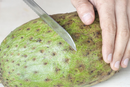 Closeup of human hand holding soursop fruit and knife placed on fruit to cut itの写真素材