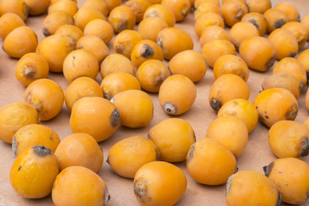 Macro closeup of fallen ripe Syagrus Romanzoffiana queen palm fruit lying on tile patio floor in natural daylightの写真素材