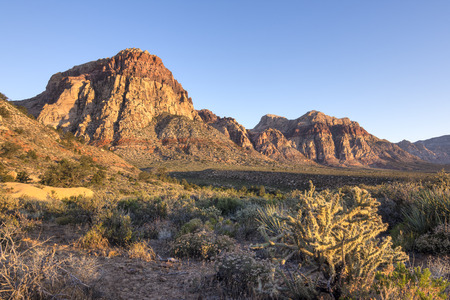 Red Rock Canyon in Las Vegas, Nevada under clear blue sky illuminating mountains and cactus with golden morning lightの写真素材