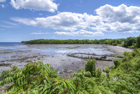 Extreme low tide leaves exposed shallow mudflats for clam digging at Glen Cove near Rockland Maine on a beautiful sunny dayの写真素材