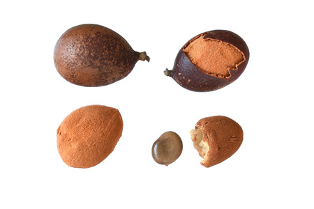 Closeup of four stages of cracking open fresh Dialium guianense guapaque fruit showing dry pulp and seed isolated on white backgroundの写真素材