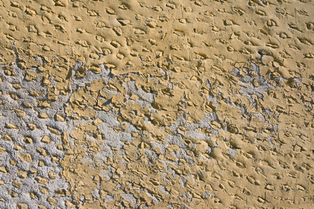 Closeup detail of yellow paint peeling from textured exterior concrete wall in Valladolid, Mexicoの写真素材