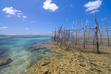 Scenic seascape of shallow coral reefs at low tide with traditional fish trap nets under clear sunny sky in Maceio, Alagoas, Brazilの写真素材